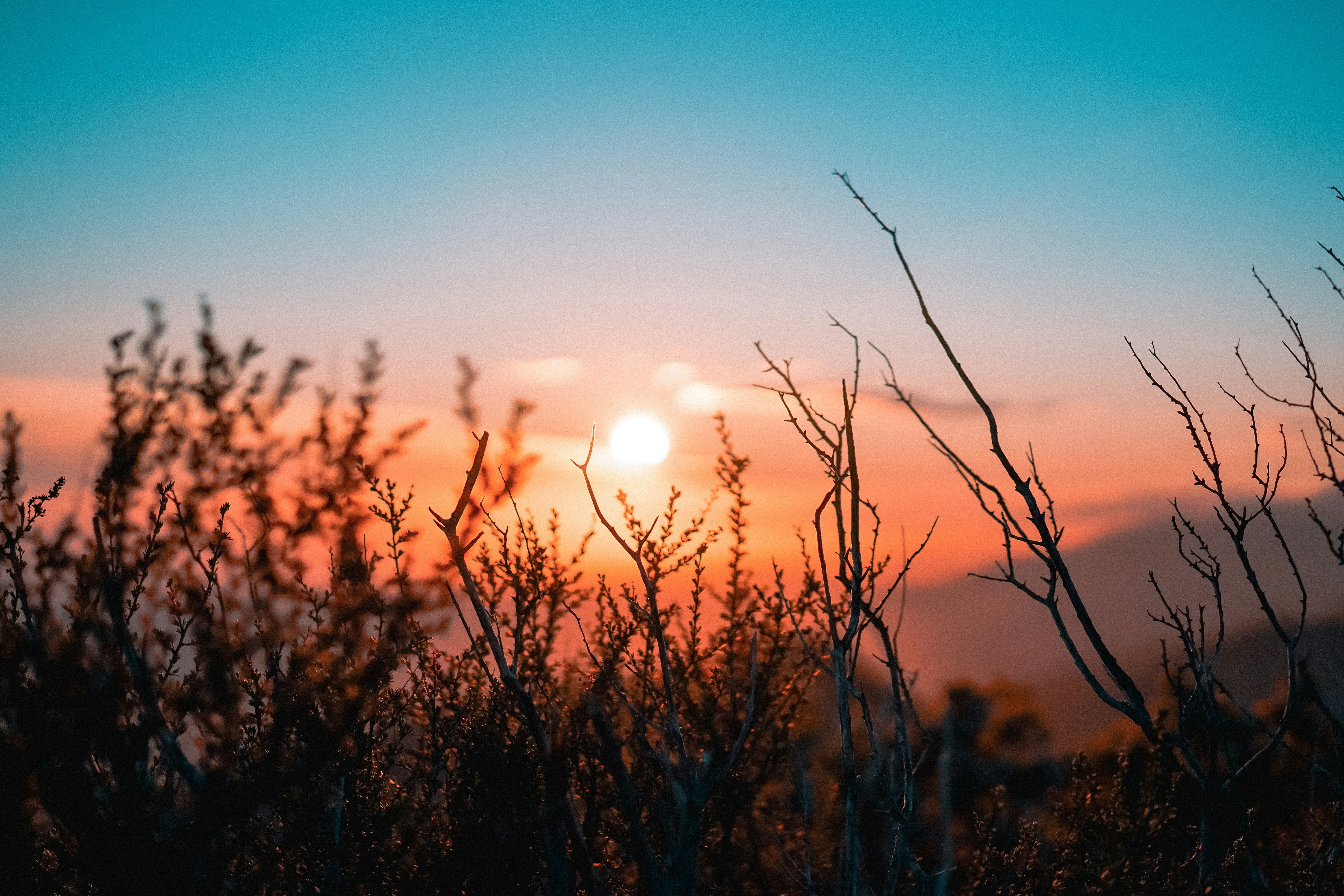 Sonnenaufgang auf einer Wiese